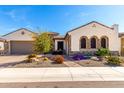 Charming single-story home featuring a meticulously landscaped front yard with desert plants and unique stone accents at 26231 W Maple Dr, Buckeye, AZ 85396