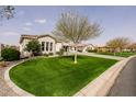 Well-maintained front yard with lush green grass and mature landscaping at 3392 E Gemini Ct, Chandler, AZ 85249