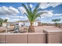 Beautiful single-story home featuring mature palm trees at 529 S Val Vista Rd, Apache Junction, AZ 85119