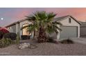 Charming home featuring desert landscaping with a mature palm tree providing a lovely view at 13913 N 133Rd Dr, Surprise, AZ 85379