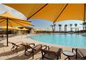 Resort-style pool area with lounge chairs and shade umbrellas surrounded by palm trees at 7854 W Mockingbird Way, Florence, AZ 85132