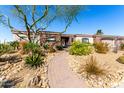 Home showcasing desert landscape, mature trees, and charming brick pathway leading to front door at 10534 N 133Rd St, Scottsdale, AZ 85259