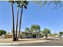 Exterior view showcasing mature palm trees and beautiful shade trees surrounding the home at 3807 E Altadena Ave, Phoenix, AZ 85028