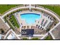 Aerial view of a community pool surrounded by lounge chairs, landscaping, and a covered area at 9956 W Piccadilly Rd, Avondale, AZ 85392
