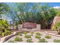 Solera Chandler community sign surrounded by desert landscaping and plants and a decorative brick wall at 6634 S Pinnacle Ct, Chandler, AZ 85249