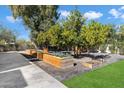 Charming garden with raised beds and lush greenery, perfect for growing vegetables and enjoying nature at 9114 N 55Th St, Paradise Valley, AZ 85253