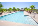 Relaxing community pool featuring lounge chairs, palm trees, and a shaded cabana on a sunny day at 44125 W Cydnee Dr, Maricopa, AZ 85138