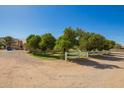 Wide lot with mature trees and fencing offer a private and serene outdoor space at 17203 E Starflower Ct, Queen Creek, AZ 85142