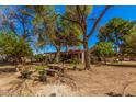 Spacious backyard with mature trees, picnic table and lots of room for activities at 6648 S 27Th Ave, Phoenix, AZ 85041