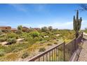 Lush desert landscape view with mature cacti and native vegetation at 29243 N 122Nd Ln, Peoria, AZ 85383