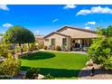 Well-maintained backyard with artificial turf, lush greenery, and a covered patio at 4459 E Donato Dr, Gilbert, AZ 85298