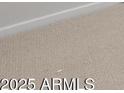 Close-up of neutral colored carpet at 7723 W Cactus Wren Way, Florence, AZ 85132