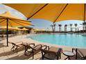 Relaxing community pool with lounge chairs, shade umbrellas, and palm trees at 7888 W Mockingbird Way, Florence, AZ 85132