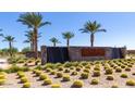 Inviting community entrance with lush landscaping, palm trees, a waterfall feature, and decorative rocks at 1508 W Via Del Sol --, San Tan Valley, AZ 85140