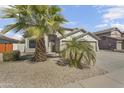 Inviting single-story home with desert landscaping, gravel, and a palm tree in the front yard at 2592 E Torrey Pines Ln, Chandler, AZ 85249