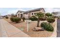 Inviting home with a well-kept yard, mailbox, desert landscaping, and mature bushes at 20319 N Painted Sky Dr, Surprise, AZ 85374