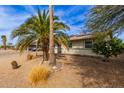 Single-story home with desert landscaping and a mature palm tree in the front yard, plus solar panels at 280 W 23Rd Ave, Apache Junction, AZ 85120