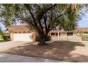 Charming home featuring a well-maintained front yard, a two-car garage, and lovely mature trees at 9730 W Gulf Hills Dr, Sun City, AZ 85351