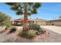 Inviting single-story home with well-maintained desert landscaping featuring various cacti and plants at 11067 W White Mountain Rd, Sun City, AZ 85351