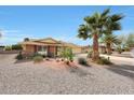 Attractive single-story house showcasing desert landscaping with gravel, cacti, and several palm trees at 11067 W White Mountain Rd, Sun City, AZ 85351