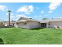 Well-maintained home featuring vibrant green lawn and a tall palm tree in a sunny setting at 13202 N 22Nd Ave, Phoenix, AZ 85029