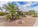 Charming single-story home featuring well-maintained desert landscaping and a serene atmosphere at 20230 N Sojourner Dr, Surprise, AZ 85387