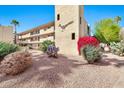 Apartment building with balconies, desert landscaping and colorful bougainvillea at 4950 N Miller Rd # 240, Scottsdale, AZ 85251