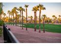 Scenic view of a golf course and palm trees behind a black metal fence at 22813 N Del Monte Dr, Sun City West, AZ 85375