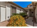 Inviting entrance with a tiled walkway surrounded by colorful, mature landscaping at 4109 E Del Rio St, Gilbert, AZ 85295