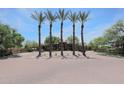 Community entrance featuring mature palm trees, lush green trees and bushes surrounding the building at 5401 E Van Buren St # 1103, Phoenix, AZ 85008