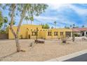 View of yellow house with low water desert landscaping, cacti, and brown window detailing at 7719 W Bluefield Ave, Glendale, AZ 85308