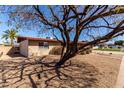 A charming home with a well-kept gravel yard, shaded by a mature tree, creating a serene outdoor space at 3324 W Pershing Ave, Phoenix, AZ 85029