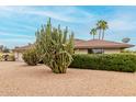 Beautiful one-story home with desert landscaping, green shrubbery and palm trees in the distance at 4705 W Annette Cir, Glendale, AZ 85308