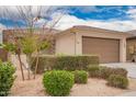 Charming single-story home with manicured bushes and desert landscaping at 8957 W Palo Verde Dr, Glendale, AZ 85305