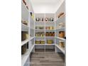 Walk-in pantry featuring adjustable shelving providing ample storage space at 33414 N 142Nd Way, Scottsdale, AZ 85262