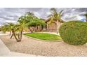 Well-manicured front yard featuring mature palm trees and lush green grass at 4417 W Lawler Loop, Phoenix, AZ 85083