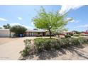 Well-maintained home featuring mature trees and a driveway leading to a charming single-story home at 3125 E Grovers Ave, Phoenix, AZ 85032