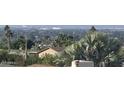 Expansive city view with palm trees, lush greenery and desert landscape at 7532 N 23Rd St, Phoenix, AZ 85020