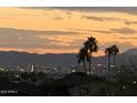 A vibrant city view in the distance showcasing the sunset with palm trees in the foreground at 7532 N 23Rd St, Phoenix, AZ 85020