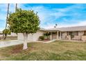 Charming single-story home featuring a well-manicured lawn and decorative front yard fence at 10516 W El Capitan Cir, Sun City, AZ 85351