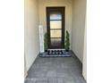 Inviting front entrance featuring a decorative welcome mat and stylish black framed glass door at 1511 E Lynx Way, Gilbert, AZ 85298