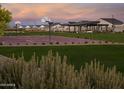 Outdoor basketball court and picnic area on a grassy lawn, creating a recreational space for residents at 3892 W Antelope Way, San Tan Valley, AZ 85144