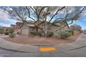 Corner lot home featuring desert landscaping, mature trees and a view of neighborhood street at 46175 W Morning View Ln, Maricopa, AZ 85139