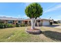 Lovely front yard featuring decorative tree and well-maintained lawn at 13620 N Hawthorn Dr, Sun City, AZ 85351