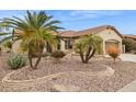 Landscaped front yard with palm trees, desert plants, decorative rock, and a well-manicured lawn at 2634 N 164Th Ave, Goodyear, AZ 85395