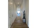 Bright hallway with wood-look tile flooring and decorative cactus at 3746 E Rochelle Cir, Mesa, AZ 85215