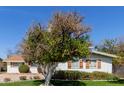 Well-maintained white home with shutters, green lawn, and mature orange tree in yard at 4510 W Keim Dr, Glendale, AZ 85301