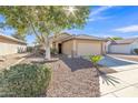 Inviting single-story home with desert landscaping, a mature shade tree, and a neutral-toned facade with a tiled roof at 9231 E Carmel Ave, Mesa, AZ 85208