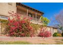 Charming home with a cozy balcony adorned with vibrant bougainvillea, adding a touch of elegance and color at 15239 W Alexandria Way, Surprise, AZ 85379