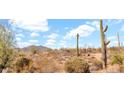Desert landscape featuring various cacti, scrubs, and bushes against a mountain backdrop at 40108 N 2Nd Way, Phoenix, AZ 85086